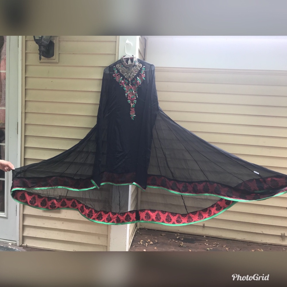 Pakistani / indian dress